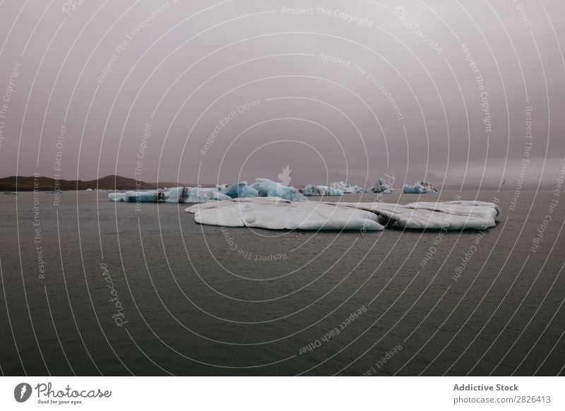 Jökulsárlón glacier, Iceland Man Glacier Ocean Hand Outstretched Landscape Iceberg Vantage point Coast Gloomy scenery Extreme seaside Adventure Nature