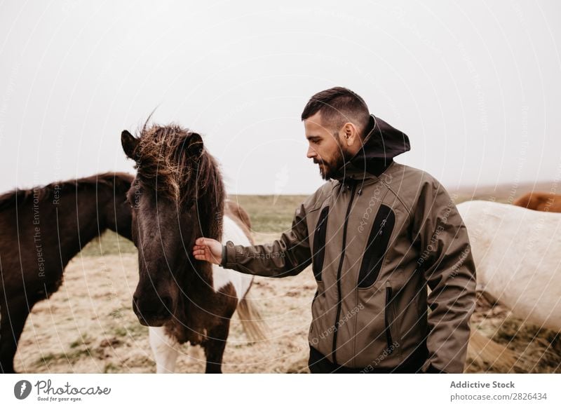 Man stroking horse Stroke Horse Iceland caring breeding Large-scale holdings Agriculture Caress Landscape Emotions Affection Touch Love Nature equestrian