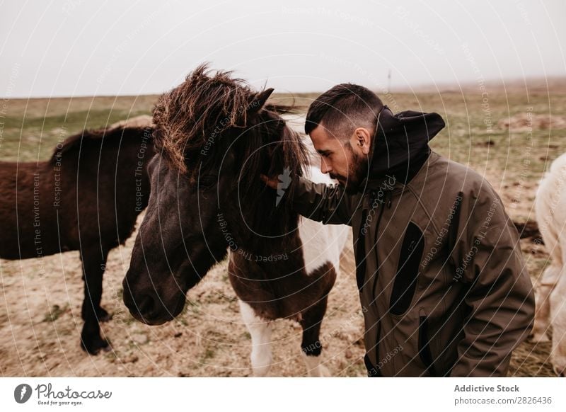 Man stroking horse Stroke Horse Iceland caring breeding Large-scale holdings Agriculture Caress Landscape Emotions Affection Touch Love Nature equestrian