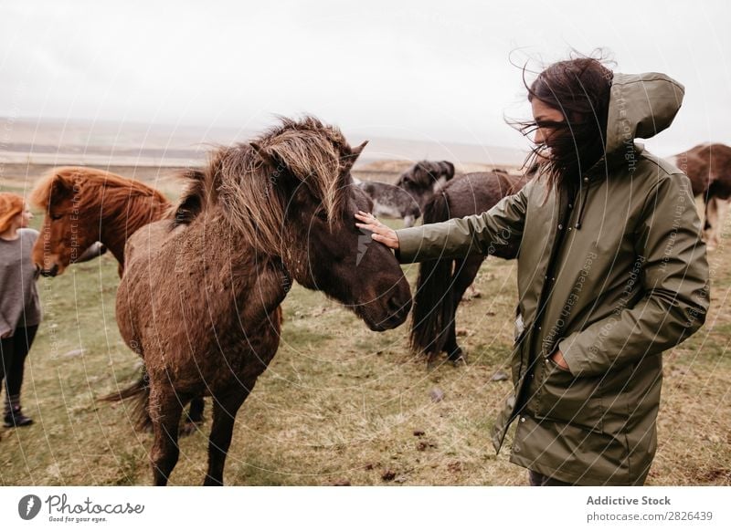 Woman stroking horse on pasture Stroke Horse Iceland Pasture breeding Large-scale holdings Animal Agriculture Caress Landscape Emotions Affection Touch Love