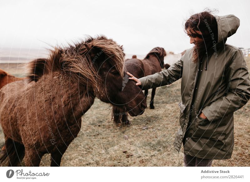 Woman stroking horse on pasture Stroke Horse Iceland Pasture breeding Large-scale holdings Animal Agriculture Caress Landscape Emotions Affection Touch Love