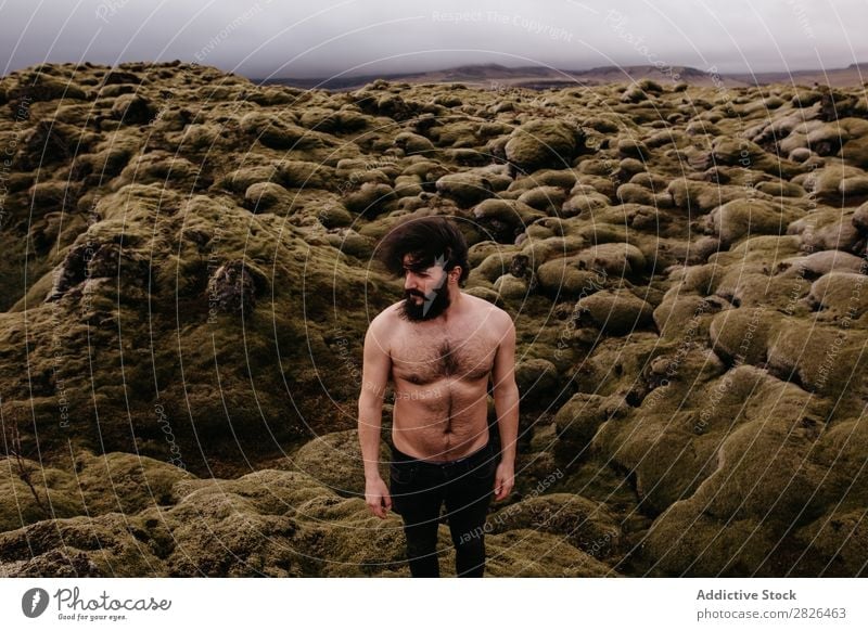 Shirtless muscular bearded man in Icelandic nature Man topless Muscular Nature Youth (Young adults) Summer Lifestyle Human being Mountain handsome shirtless