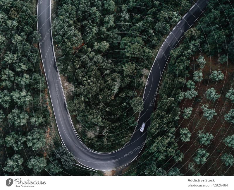 Aerial view of a road crossing a forest Aircraft Aerial photograph airborne Alpine Autumn Autumnal Beautiful bird eye coniferous Day Drone Ecological ecosystem