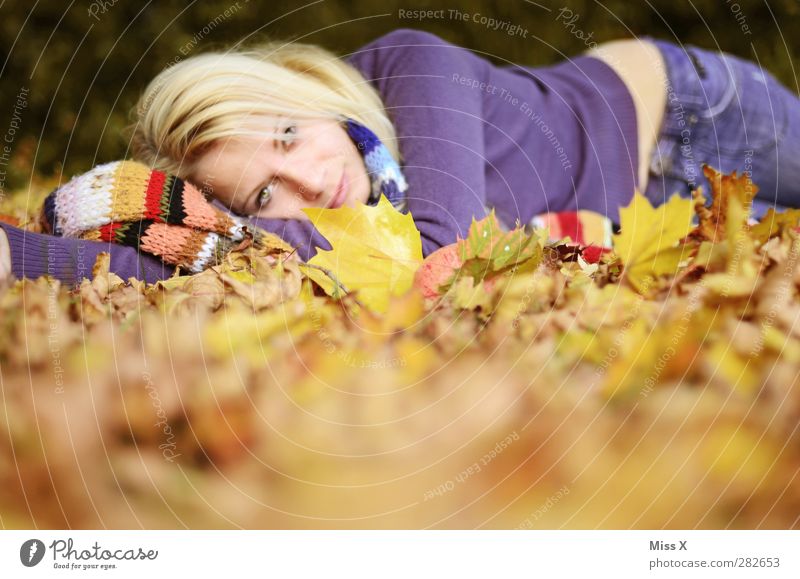 foliage Human being Feminine Young woman Youth (Young adults) Woman Adults 1 Autumn Leaf Forest Smiling Lie Beautiful Multicoloured Autumn leaves Autumnal