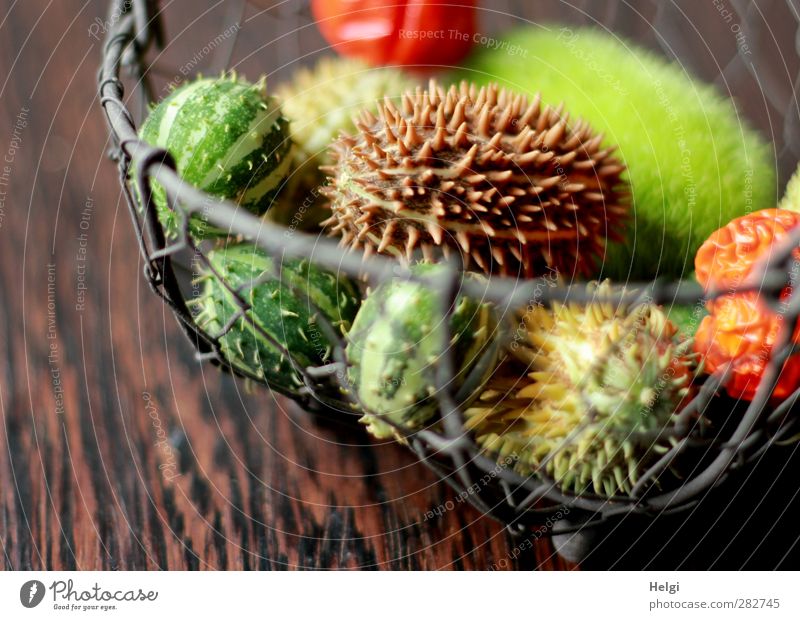 autumn fruits Autumn Fruit Basket Wire basket Wood Metal Lie Living or residing Esthetic Exceptional Beautiful Small Natural Thorny Brown Gray Green Orange
