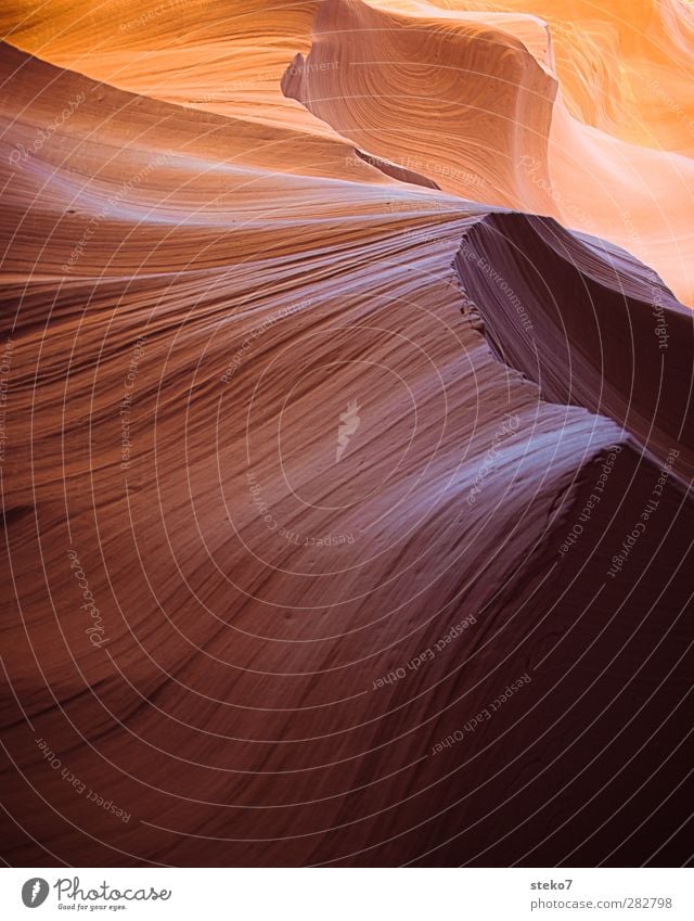 Sand + Time Rock Canyon Round Yellow Gold Orange Antelope Canyon Sandstone Ground down Structures and shapes Undulation Colour photo Exterior shot Close-up