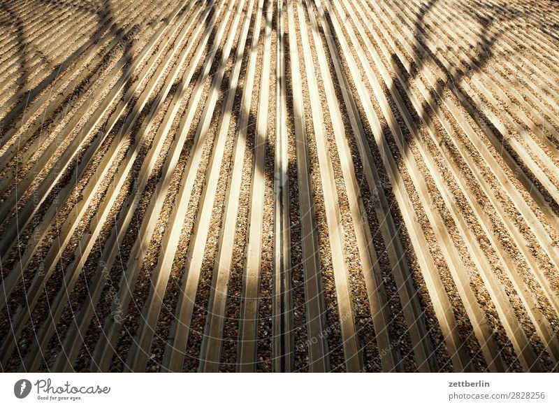 Same shadow, different angle Branch Facade Spring Seam Autumn Light Wall (barrier) Deserted Parallel Perspective Shadow Tree trunk Copy Space Wall (building)