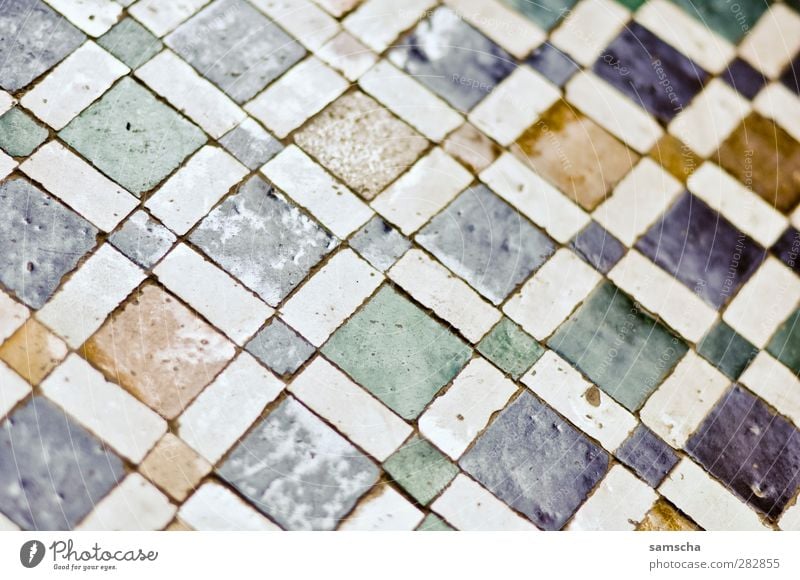tiles Flat (apartment) Interior design Bathroom Wall (barrier) Wall (building) Ornament Colour Floor covering Ground Paving tiles Cultivation Tile Multicoloured
