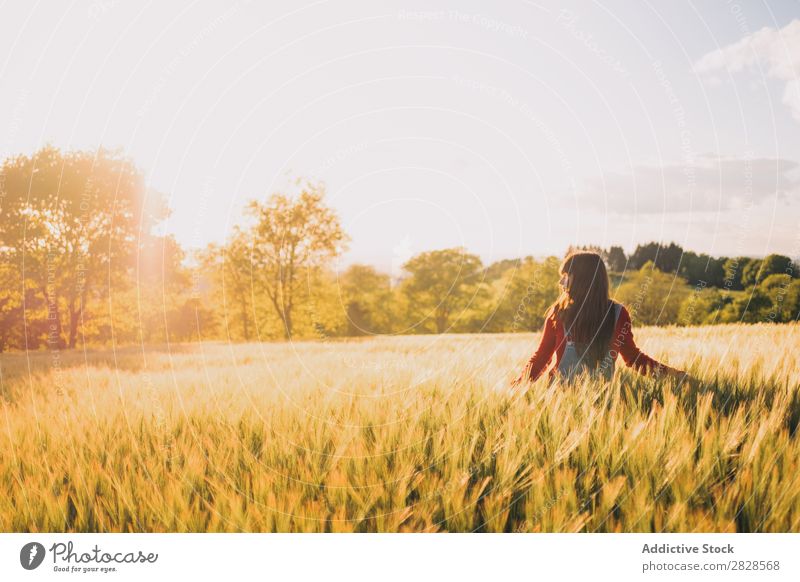 Woman walking on field Field Walking To enjoy Evening Nature Beautiful Girl Beauty Photography Youth (Young adults) Grass Meadow Freedom Happiness Sun Autumn