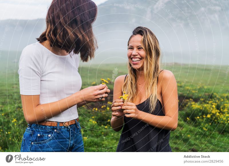 Smiling girls with field flowers Woman Meadow Flower Field picking Happy Laughter Together Friendship Relaxation Mountain Nature Girl Grass Beautiful