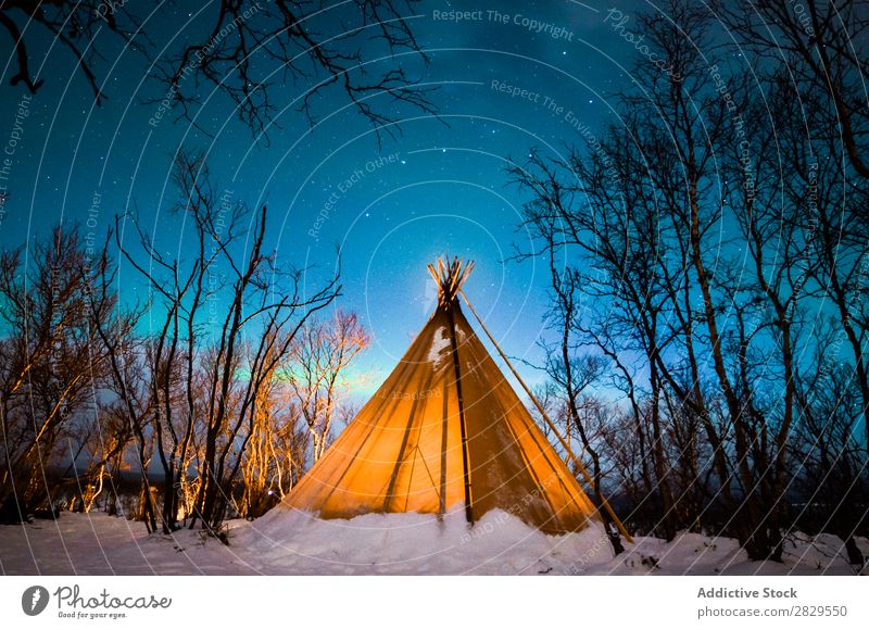 Tent in winter forest Winter Nature Cold North Covered Light Night Forest Snow Seasons White Landscape Ice Frost Vacation & Travel Mountain Beautiful Weather