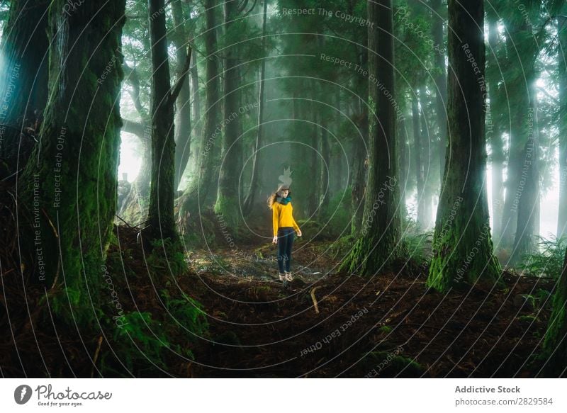 Woman looking down in forest Forest Green pretty Vacation & Travel Tourism Loneliness Nature Landscape Tree Trunk Plant Park Seasons Fog Environment Scene