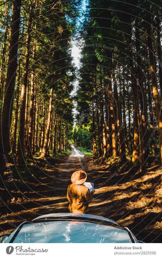 Woman with map at car in woods Tourist Forest Green Car Lean Nature Environment pretty Map Reading Navigation Lost Natural Seasons Plant Leaf Light Fresh Bright