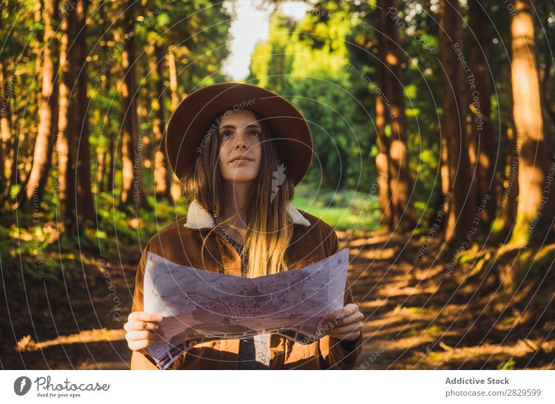 Woman with map in woods Exterior shot scenery Forest Leaf Lost Colour Plant Day Natural Tourist Wild Beautiful Seasons Fresh Spring Multicoloured