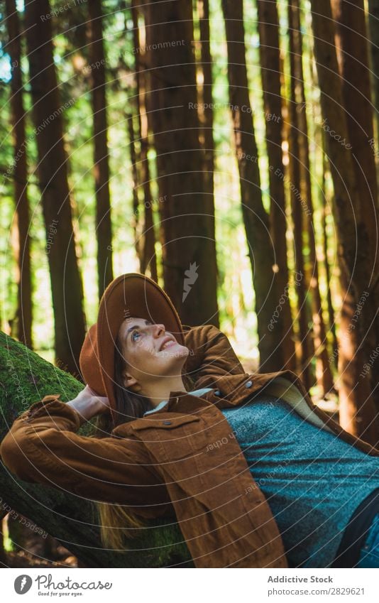 Woman relaxing on tree trunk Tourist Forest Green Nature Lie (Untruth) Relaxation Trunk Environment pretty Natural Seasons Plant Leaf Light Fresh Bright Day