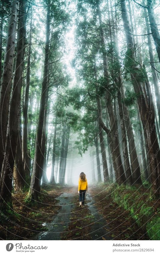 Woman walking in forest Forest Green pretty Vacation & Travel Tourism Loneliness Nature Landscape Tree Trunk Plant Park Seasons Fog Environment Scene Beautiful