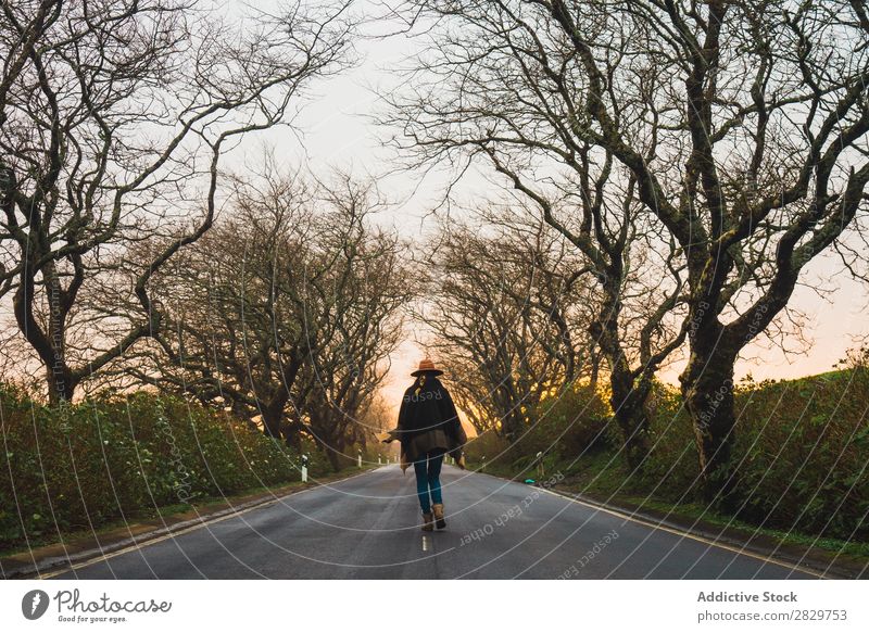 Woman strolling on empty winter road Winter Alley Tree Seasons romantic Cold Bare Nature tranquil Street Park Walking Loneliness Empty Style paved Weather