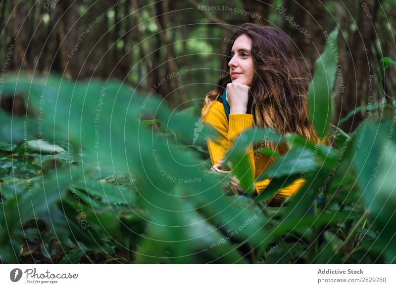 Pensive woman in forest Woman Forest Green Dream Considerate pretty Vacation & Travel Tourism Loneliness Nature Landscape Tree Trunk Plant Park Seasons Fog