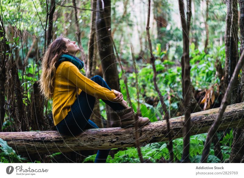 Woman sitting on trunk in woods Forest Dream Considerate Trunk Sit Looking up Green pretty Vacation & Travel Tourism Loneliness Nature Landscape Tree Plant Park