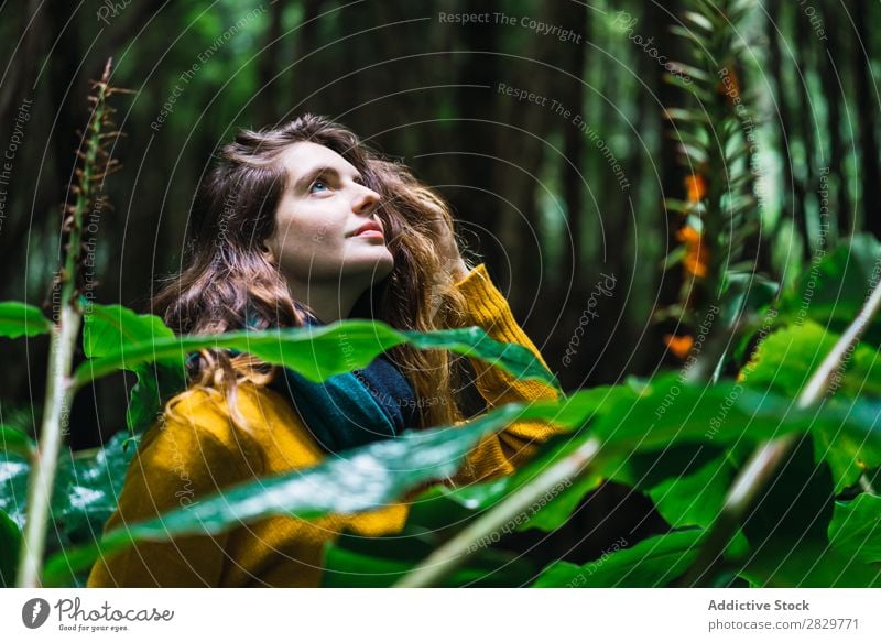 Woman looking up in forest Forest Green pretty Vacation & Travel Tourism Loneliness Nature Landscape Tree Trunk Plant Park Seasons Fog Environment Scene