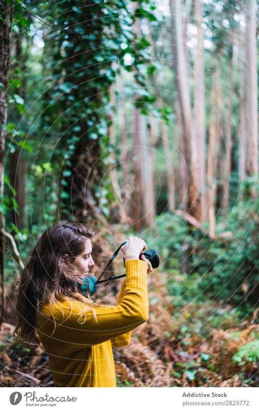 Woman taking shots in forest Forest Green Photographer Camera pretty Vacation & Travel Tourism Loneliness Nature Landscape Tree Trunk Plant Park Seasons Fog