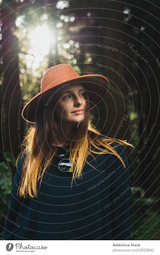 Young woman in sunny forest Woman pretty Forest Green Hat Looking away Nature Environment Natural Seasons Plant Leaf Light Fresh Bright Day Sunlight Wood Growth
