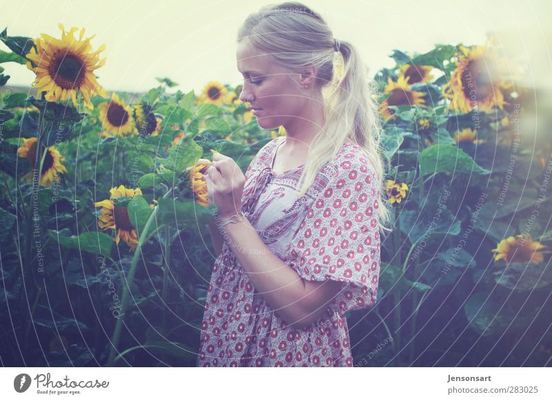 Blond girl on a flower meadow Human being Feminine Young woman Youth (Young adults) Life 1 18 - 30 years Adults Nature Summer Flower Blonde Braids Bouquet