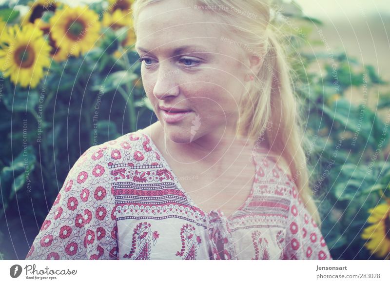 Blond girl on a flower meadow ( sunflowers ) Human being Feminine Young woman Youth (Young adults) 1 18 - 30 years Adults Nature Summer Flower Blonde Braids