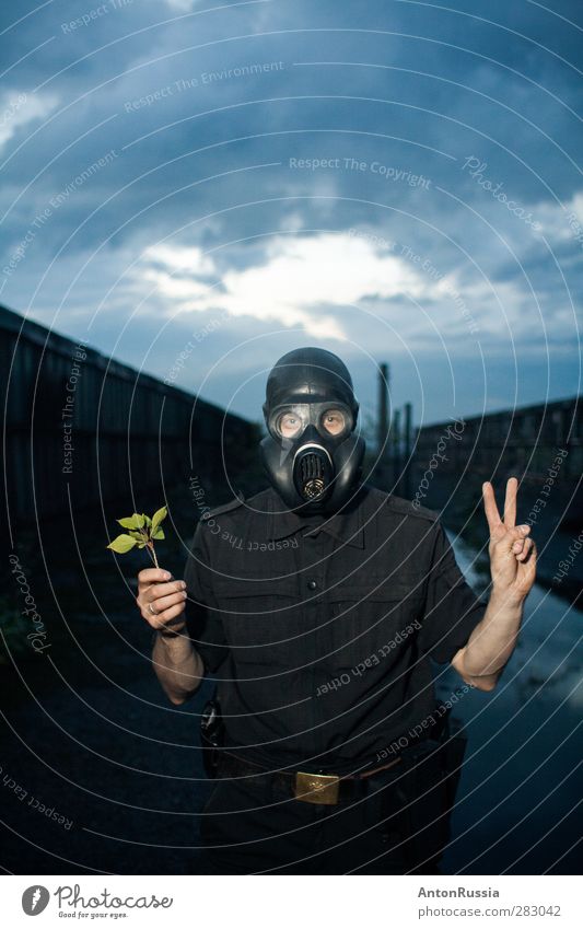 Peace man respirator clouds autumn military plant Human being Masculine Man Adults Nature Sky Cloudless sky Clouds Summer Autumn Bad weather Storm Plant