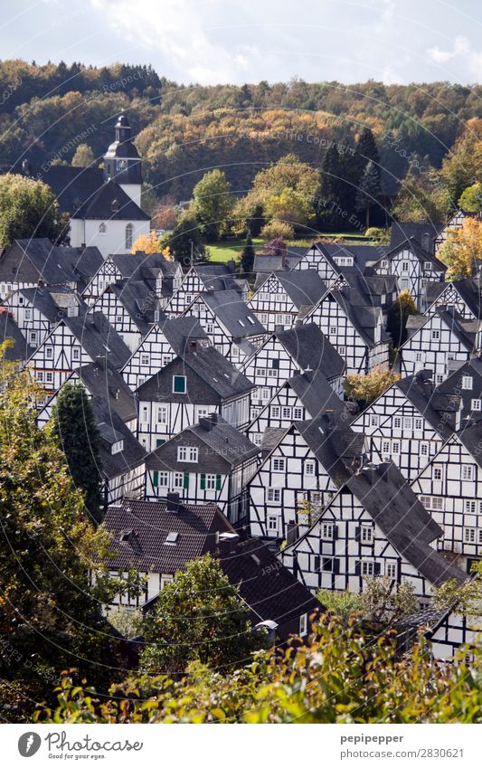 Freudenberg Vacation & Travel Tourism Living or residing Flat (apartment) House (Residential Structure) Beautiful weather Tree Forest Hill freudenberg Germany
