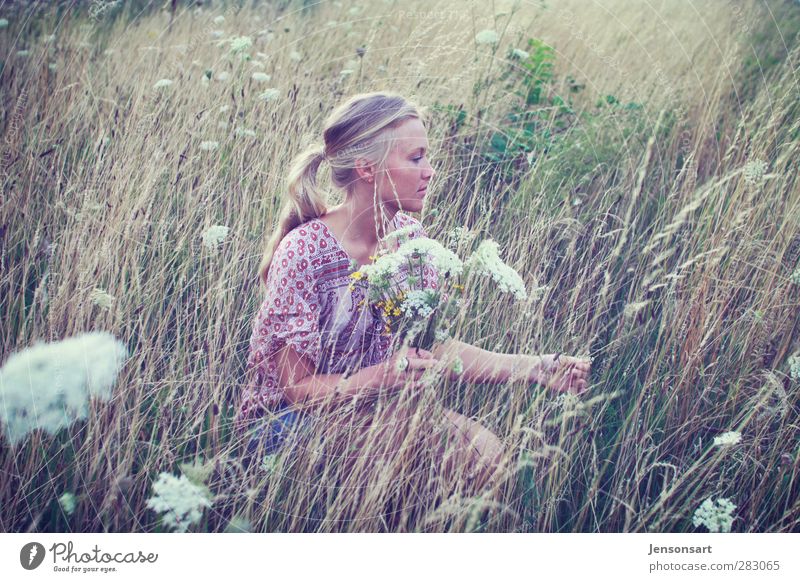 Blond girl on a flower meadow Human being Feminine Young woman Youth (Young adults) 1 18 - 30 years Adults Nature Summer Flower Blonde Braids Beautiful Natural