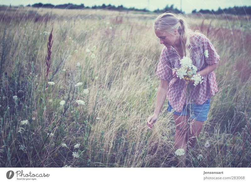 Blond girl on a flower meadow Human being Feminine Young woman Youth (Young adults) Life 1 18 - 30 years Adults Nature Summer Meadow Blonde Braids Beautiful