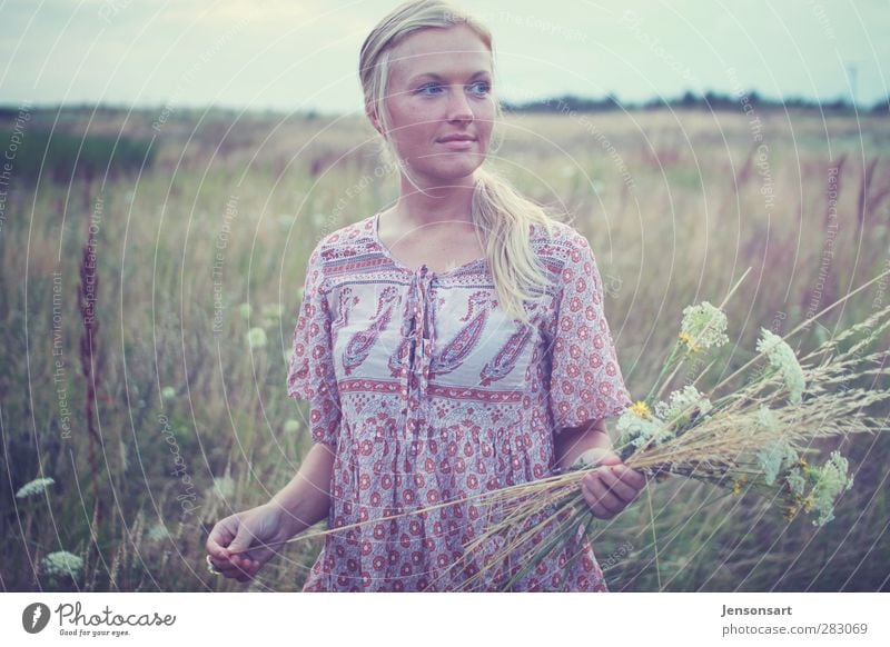 Blond girl on a flower meadow Human being Feminine Young woman Youth (Young adults) 1 18 - 30 years Adults Nature Summer Flower Meadow Blonde Bangs To hold on