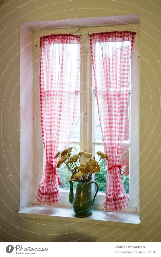 the other day at grandma's Style Living or residing Flat (apartment) Decoration Window Curtain Old Bright Tradition Light Vase Flower vase Bouquet