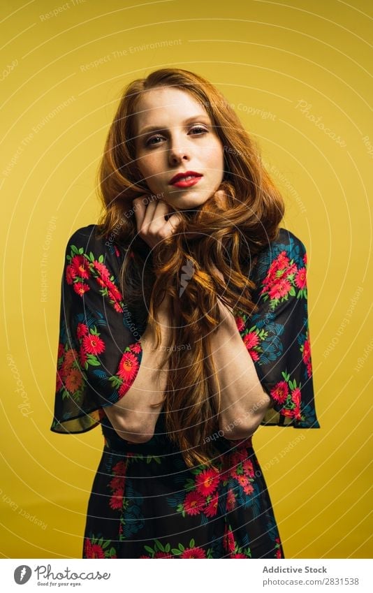 Pretty redhead woman holding hair Woman pretty Portrait photograph Youth (Young adults) Beautiful Adults Looking into the camera Red-haired Dress Posture