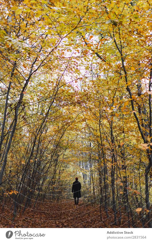 Man posing in autumnal wood Street Youth (Young adults) Town Lifestyle Easygoing Fashion Style warm clothes Adults Modern Human being Hip & trendy Guy