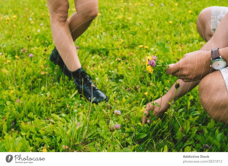 Man picking flowers for woman Couple Meadow Flower Gift collecting Nature Summer Human being Woman Love Grass Beautiful Together Landscape Vacation & Travel