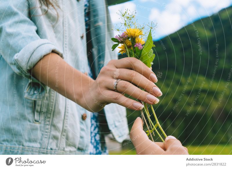 Woman taking small bunch Couple Meadow Flower Gift collecting giving Small Nature Summer Human being Man Love Grass Beautiful Together Landscape