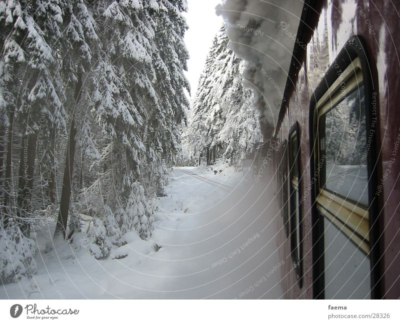Orient Express Fir tree Dust Window Winter Transport Fragment Railroad Brocken Railway Steam steam block Snow Glass