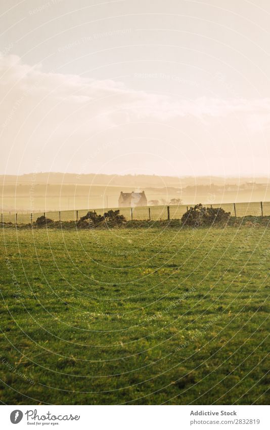 Green field in countryside Nature Field Landscape Farm Rural Grass Meadow Natural Landing Countries Beautiful Sunbeam Vantage point Environment Horizon Weather