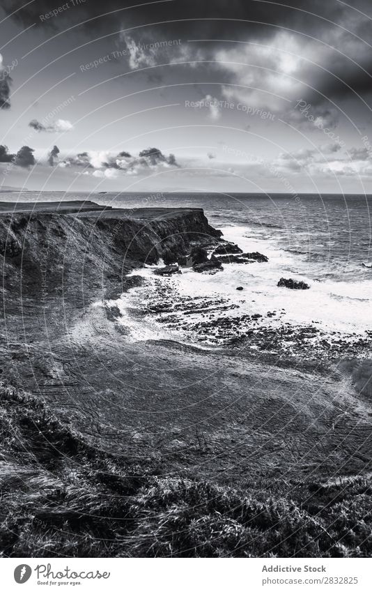 BW shot of rocky coast Coast seaside Rock Ocean Landscape Beach Nature Water Natural seascape Stone Beautiful Grass Northern Ireland Vacation & Travel Sunbeam