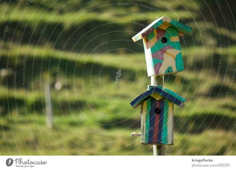 dorm Painter Nature Meadow Hill House (Residential Structure) Bird Multicoloured aviary Love of animals Home country slanting Colour photo Exterior shot