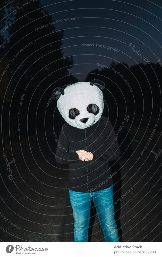 Man in panda mask Mask Peace Human being Panda Idea Easygoing Cute Costume Trip Rest Funny Faceless Unrecognizable Anonymous Vertical Street Night Forest Nature