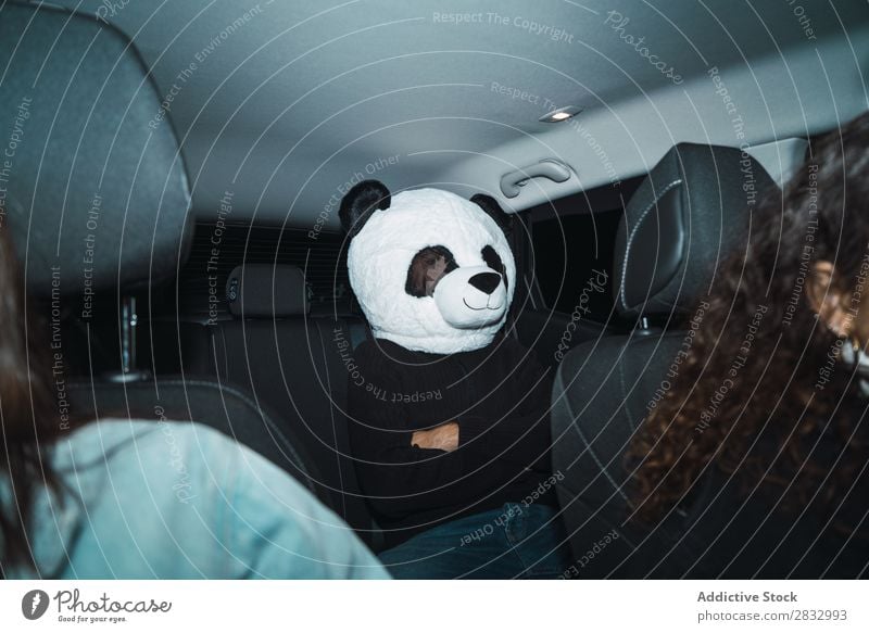 Man in panda mask Mask Peace Gesture Human being Panda Back Seat Passenger compartment Car Vehicle Transport Expression gesturing Idea Easygoing Cute Costume
