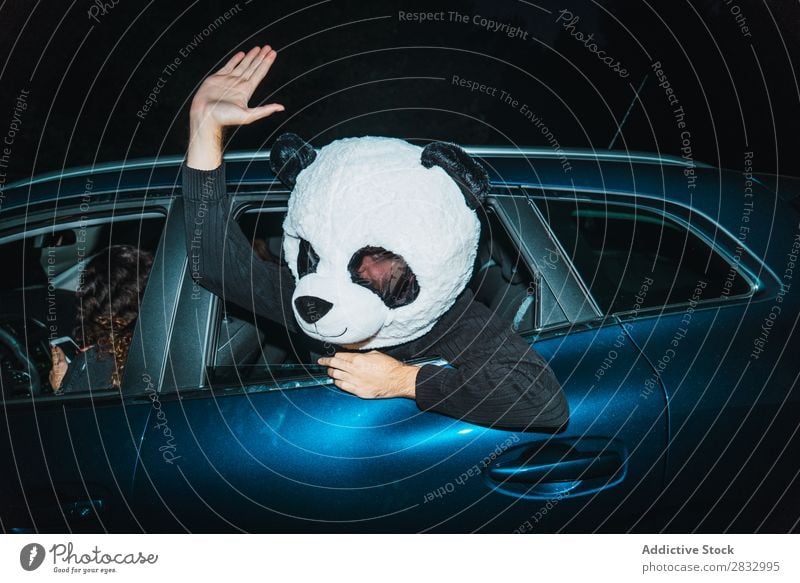 Man in panda mask leaning out of car window Mask Peace Gesture Human being Panda Indicate Back Seat Passenger compartment Car Vehicle Transport Hand