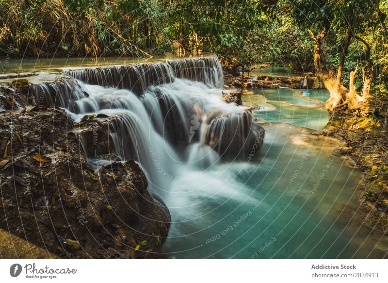 forest river in spring. water flows among the mossy rocks. refreshing  nature background. beautiful scenery on a sunny day Stock Photo