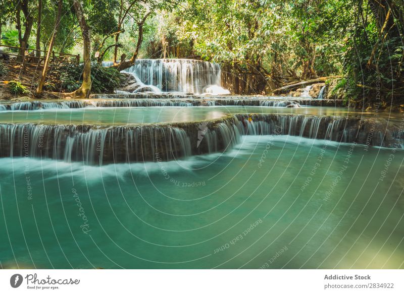 Beautiful small waterfalls flowing Forest cascade Nature Landscape Water Vacation & Travel River Waterfall Park Green Stream Tourism Flow scenery Virgin forest