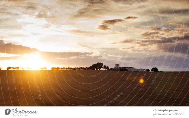 Spanish sunset Vacation & Travel Summer Summer vacation Sun Agriculture Forestry Sky Sunrise Sunset Beautiful weather Tree Field Village