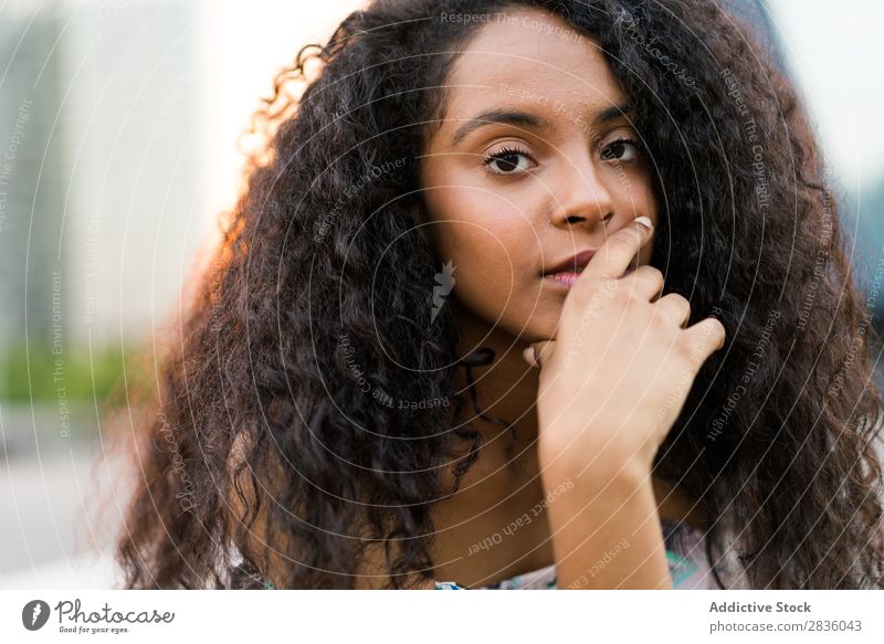 Young black woman looking at camera Woman pretty Youth (Young adults) Portrait photograph Looking into the camera Black African Head Beautiful Curly Brunette