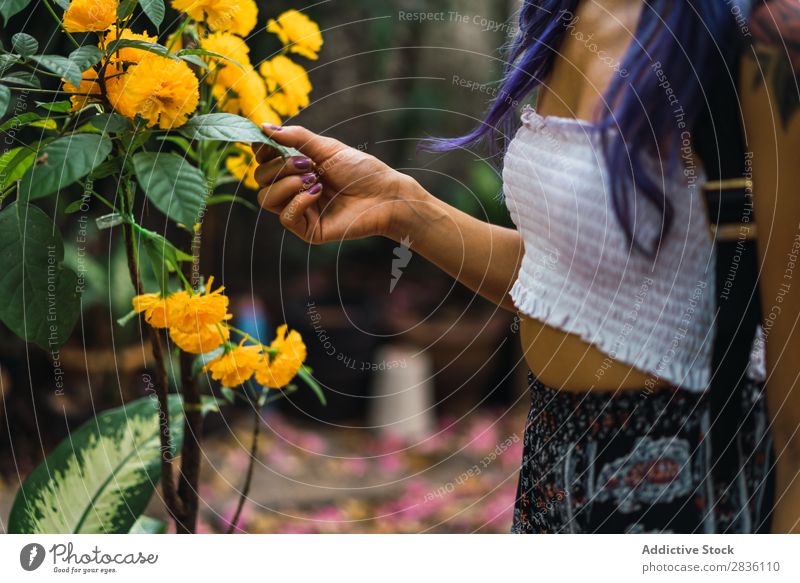 Crop woman touching yellow flower Woman pretty Youth (Young adults) Beautiful Portrait photograph Park Flower Yellow Hair Purple Fashion Attractive City